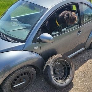 Meet your Posher, Kris